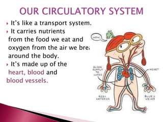  It’s like a transport system.
 It carries nutrients
from the food we eat and
oxygen from the air we breathe
around the body.
 It’s made up of the
heart, blood and
blood vessels.
 