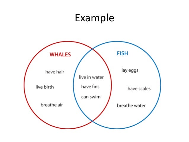 u s vs canada culture ppt us and canada government venn diagram