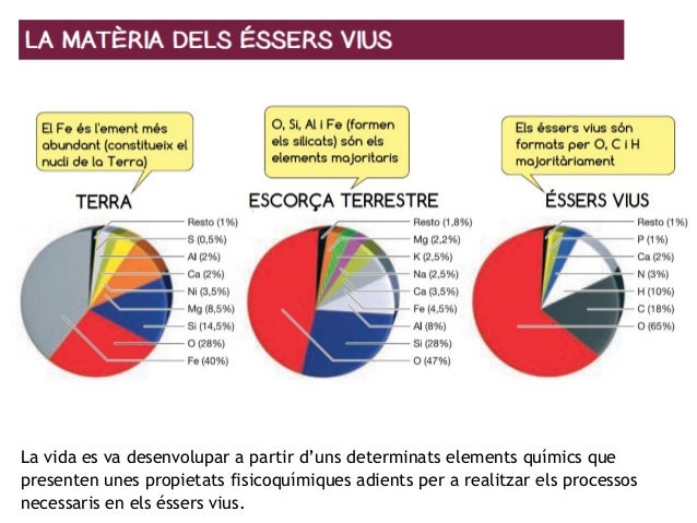 Resultat d'imatges de elements éssers vius
