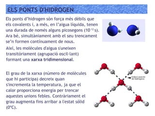 ELS PONTS D'HIDROGEN
Els ponts d’hidrogen són força més dèbils que
els covalents i, a més, en l’aigua líquida, tenen
una durada de només alguns picosegons (10-12
s).
Ara bé, simultàniament amb el seu trencament
se’n formen contínuament de nous.
Així, les molècules d'aigua s'uneixen
transitòriament (agrupació oscil·lant)
formant una xarxa tridimensional.
El grau de la xarxa (número de molècules
que hi participa) decreix quan
s'incrementa la temperatura, ja que el
calor proporciona energia per trencar
aquestes unions febles. Contràriament el
grau augmenta fins arribar a l'estat sòlid
(0ºC).
 
