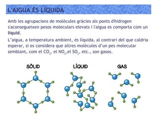 L'AIGUA ÉS LÍQUIDA
Amb les agrupacions de molècules gràcies als ponts d'hidrogen
s'aconsegueixen pesos moleculars elevats i l'aigua es comporta com un
líquid.
L’aigua, a temperatura ambient, és líquida, al contrari del que caldria
esperar, si es considera que altres molècules d’un pes molecular
semblant, com el CO2
, el NO2
,el SO2
, etc., son gasos.
 