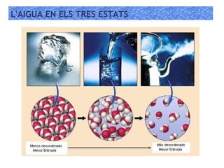 L'AIGUA EN ELS TRES ESTATS
 