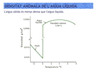DENSITAT ANÒMALA DE L'AIGUA LÍQUIDA
L'aigua sòlida és menys densa que l'aigua líquida.
 