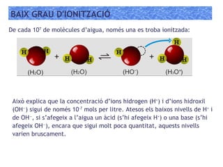 BAIX GRAU D'IONITZACIÓ
De cada 107
de molècules d’aigua, només una es troba ionitzada:
Això explica que la concentració d’ions hidrogen (H+
) i d’ions hidroxil
(OH—
) sigui de només 10-7
mols per litre. Atesos els baixos nivells de H+
i
de OH—
, si s’afegeix a l’aigua un àcid (s’hi afegeix H+
) o una base (s’hi
afegeix OH—
), encara que sigui molt poca quantitat, aquests nivells
varien bruscament.
 