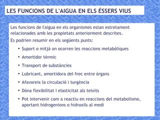 LES FUNCIONS DE L'AIGUA EN ELS ÉSSERS VIUS
Les funcions de l'aigua en els organismes estan estretament
relacionades amb les propietats anteriorment descrites.
Es podrien resumir en els següents punts:
●
Suport o mitjà on ocorren les reaccions metabòliques
●
Amortidor tèrmic
●
Transport de substàncies
●
Lubricant, amortidora del frec entre òrgans
●
Afavoreix la circulació i turgència
●
Dóna flexibilitat i elasticitat als teixits
●
Pot intervenir com a reactiu en reaccions del metabolisme,
aportant hidrogenions o hidroxils al medi
 