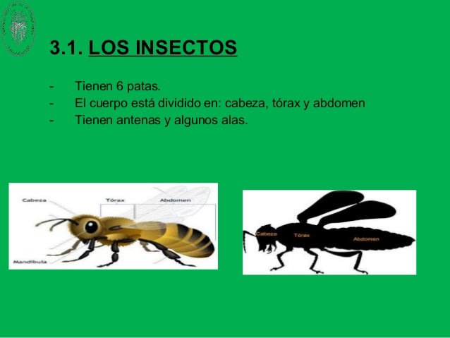 U.2. LA FAUNA