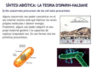 SÍNTESI ABIÒTICA: LA TEORIA D'OPARIN-HALDANESÍNTESI ABIÒTICA: LA TEORIA D'OPARIN-HALDANE
5) Els coacervats precursors de les cèl·lules procariotes
Alguns coacervats van poder concentrar en el
seu interior enzims amb què fabricar les seves
pròpies molècules i obtenir energia.
Finalment, alguns van poder adquirir el seu
propi material genètic i la capacitat de
replicar-(reproduir-se). Es van formar així els
primitius procariotes.
 