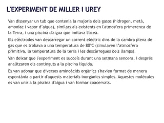L'EXPERIMENT DE MILLER I UREYL'EXPERIMENT DE MILLER I UREY
Van dissenyar un tub que contenia la majoria dels gasos (hidrogen, metà,
amoníac i vapor d’aigua), similars als existents en l'atmosfera primerenca de
la Terra, i una piscina d'aigua que imitava l'oceà.
Els elèctrodes van descarregar un corrent elèctric dins de la cambra plena de
gas que es trobava a una temperatura de 80ºC (simulaven l’atmosfera
primitiva, la temperatura de la terra i les descàrregues dels llamps).
Van deixar que l'experiment es succeís durant una setmana sencera, i després
analitzaren els continguts a la piscina líquida.
Es van adonar que diversos aminoàcids orgànics s'havien format de manera
espontània a partir d'aquests materials inorgànics simples. Aquestes molècules
es van unir a la piscina d'aigua i van formar coacervats.
 