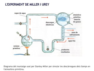 L'EXPERIMENT DE MILLER I UREYL'EXPERIMENT DE MILLER I UREY
Diagrama del muntatge usat per Stanley Miller per simular les descàrregues dels llamps en
l'atmosfera primitiva.
 
