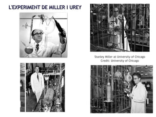 L'EXPERIMENT DE MILLER I UREYL'EXPERIMENT DE MILLER I UREY
Stanley Miller at University of Chicago
Credit: University of Chicago
 