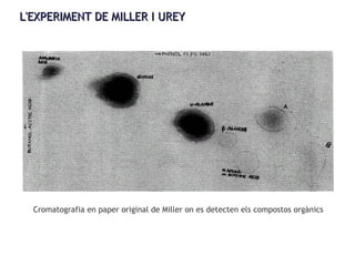 L'EXPERIMENT DE MILLER I UREYL'EXPERIMENT DE MILLER I UREY
Cromatografia en paper original de Miller on es detecten els compostos orgànics
 