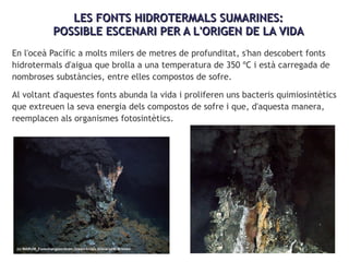 LES FONTS HIDROTERMALS SUMARINES:LES FONTS HIDROTERMALS SUMARINES:
POSSIBLE ESCENARI PER A L'ORIGEN DE LA VIDAPOSSIBLE ESCENARI PER A L'ORIGEN DE LA VIDA
En l'oceà Pacífic a molts milers de metres de profunditat, s'han descobert fonts
hidrotermals d'aigua que brolla a una temperatura de 350 ºC i està carregada de
nombroses substàncies, entre elles compostos de sofre.
Al voltant d'aquestes fonts abunda la vida i proliferen uns bacteris quimiosintètics
que extreuen la seva energia dels compostos de sofre i que, d'aquesta manera,
reemplacen als organismes fotosintètics.
 