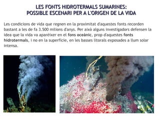 LES FONTS HIDROTERMALS SUMARINES:LES FONTS HIDROTERMALS SUMARINES:
POSSIBLE ESCENARI PER A L'ORIGEN DE LA VIDAPOSSIBLE ESCENARI PER A L'ORIGEN DE LA VIDA
Les condicions de vida que regnen en la proximitat d'aquestes fonts recorden
bastant a les de fa 3.500 milions d'anys. Per això alguns investigadors defensen la
idea que la vida va aparèixer en el fons oceànic, prop d'aquestes fonts
hidrotermals, i no en la superfície, en les basses litorals exposades a llum solar
intensa.
 