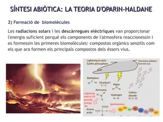 SÍNTESI ABIÒTICA: LA TEORIA D'OPARIN-HALDANESÍNTESI ABIÒTICA: LA TEORIA D'OPARIN-HALDANE
2) Formació de biomolècules
Les radiacions solars i les descàrregues elèctriques van proporcionar
l'energia suficient perquè els components de l'atmosfera reaccionessin i
es formessin les primeres biomolècules: compostos orgànics senzills com
els que ara formen els principals compostos dels éssers vius.
 