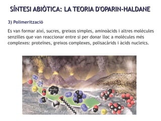 SÍNTESI ABIÒTICA: LA TEORIA D'OPARIN-HALDANESÍNTESI ABIÒTICA: LA TEORIA D'OPARIN-HALDANE
3) Polimerització
Es van formar així, sucres, greixos simples, aminoàcids i altres molècules
senzilles que van reaccionar entre si per donar lloc a molècules més
complexes: proteïnes, greixos complexes, polisacàrids i àcids nucleics.
 