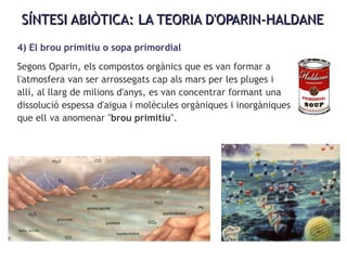 SÍNTESI ABIÒTICA: LA TEORIA D'OPARIN-HALDANESÍNTESI ABIÒTICA: LA TEORIA D'OPARIN-HALDANE
4) El brou primitiu o sopa primordial
Segons Oparin, els compostos orgànics que es van formar a
l'atmosfera van ser arrossegats cap als mars per les pluges i
allí, al llarg de milions d'anys, es van concentrar formant una
dissolució espessa d'aigua i molècules orgàniques i inorgàniques
que ell va anomenar "brou primitiu".
 