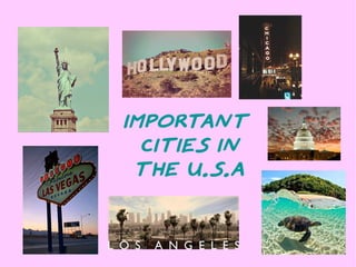 Important
cities in
the u.s.a
 