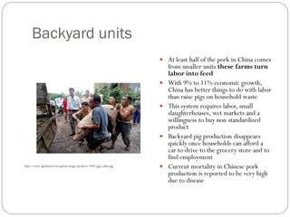 Backyard units
 At least half of the pork in China comes
from smaller units these farms turn
labor into feed
 With 9% to 11% economic growth,
China has better things to do with labor
than raise pigs on household waste
 This system requires labor, small
slaughterhouses, wet markets and a
willingness to buy non standardized
product
 Backyard pig production disappears
quickly once households can afford a
car to drive to the grocery store and to
find employment
 Current mortality in Chinese pork
production is reported to be very high
due to disease
http://www.agrarhaszon.hu/galeria/image/products/1039_pigs_china.jpg
 