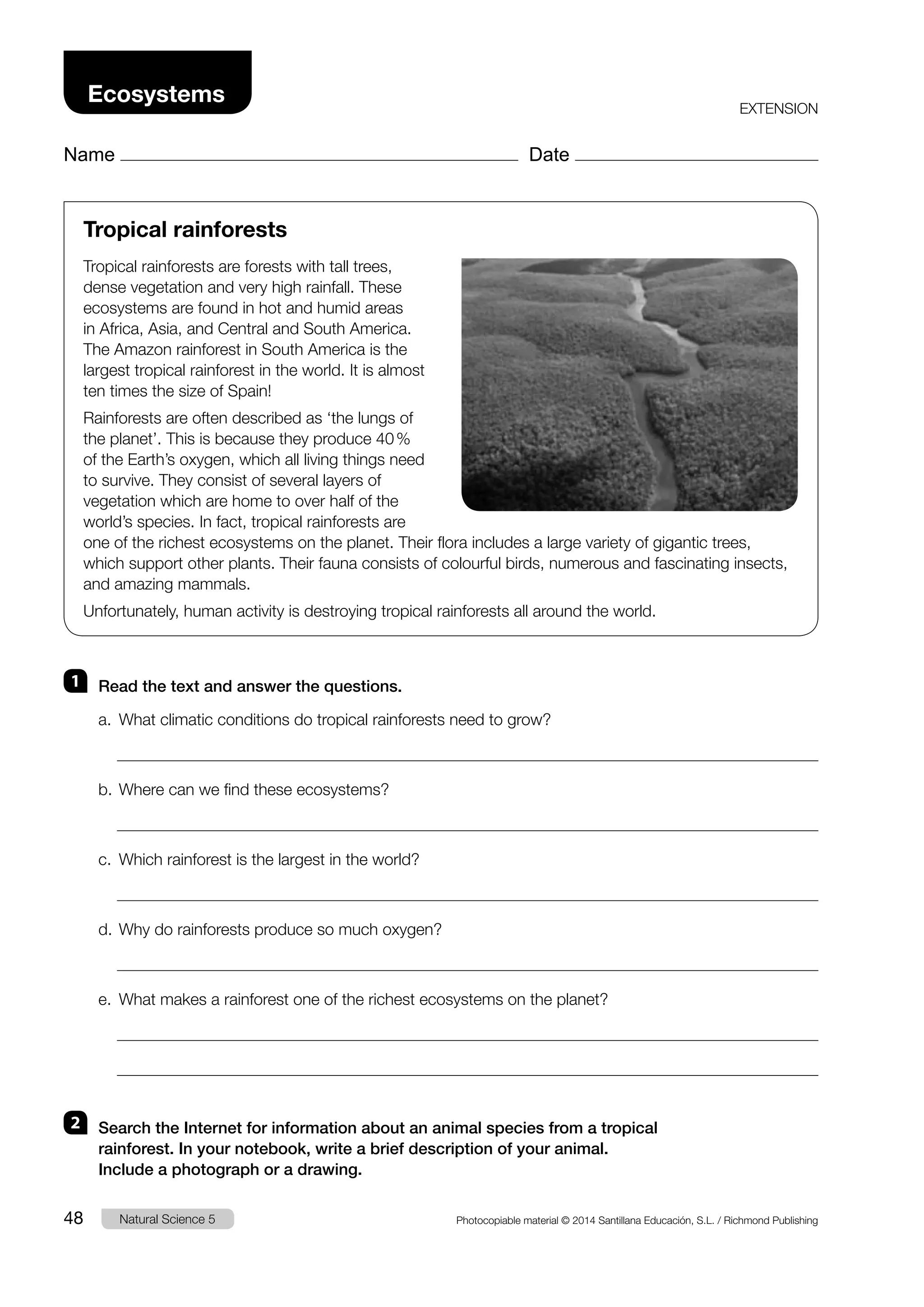 U.4 naturales-ecosystem 5 | PDF