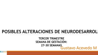 POSIBLES ALTERACIONES DE NEURODESARROLL
TERCER TRIMESTRE
SEMANA DE GESTACIÓN:
27-30 SEMANAS
Gustavo Acevedo M
 