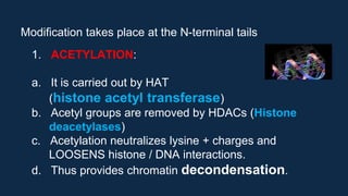 Modification takes place at the N-terminal tails
1. ACETYLATION:
a. It is carried out by HAT
(histone acetyl transferase)
b. Acetyl groups are removed by HDACs (Histone
deacetylases)
c. Acetylation neutralizes lysine + charges and
LOOSENS histone / DNA interactions.
d. Thus provides chromatin decondensation.
 