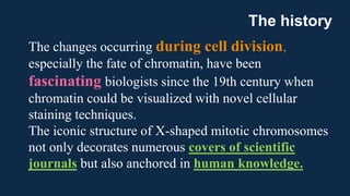 The changes occurring during cell division,
especially the fate of chromatin, have been
fascinating biologists since the 19th century when
chromatin could be visualized with novel cellular
staining techniques.
The iconic structure of X-shaped mitotic chromosomes
not only decorates numerous covers of scientific
journals but also anchored in human knowledge.
The history
 