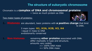 The structure of eukaryotic chromosome
Chromatin is a complex of DNA and chromosomal proteins
~ twice as much protein as DNA
Two major types of proteins:
1. Histones are abundant, basic proteins with a positive charge that bind
to DNA.
5 main types: H1, H2A, H2B, H3, H4
~equal in mass to DNA
evolutionarily conserved
1. Non-histones remaining other proteins associated with DNA.
differ markedly in type and structure.
amounts vary widely
>> 100% DNA mass
<< 50% DNA mass
 