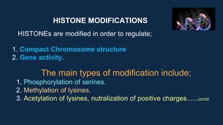 HISTONE MODIFICATIONS
HISTONEs are modified in order to regulate;
1. Compact Chromosome structure
2. Gene activity.
The main types of modification include;
1. Phosphorylation of serines.
2. Methylation of lysines.
3. Acetylation of lysines, nutralization of positive charges......contd
 