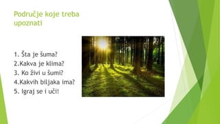 Područje koje treba
upoznati
1. Šta je šuma?
2.Kakva je klima?
3. Ko živi u šumi?
4.Kakvih biljaka ima?
5. Igraj se i uči!
 