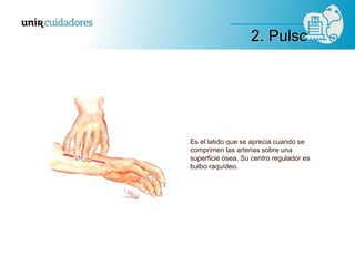 Es el latido que se aprecia cuando se
comprimen las arterias sobre una
superficie ósea. Su centro regulador es
bulbo raquídeo.
2. Pulso
 