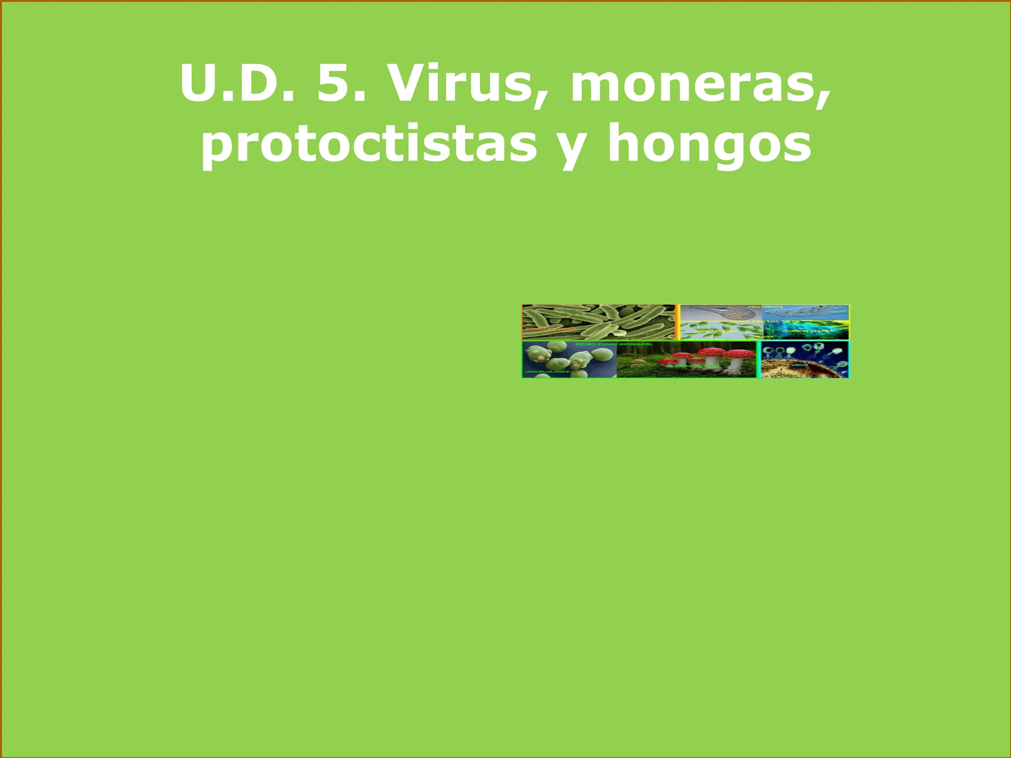 U.D. 5. Virus_ moneras, protoctistas y hongos 2 (1).docx