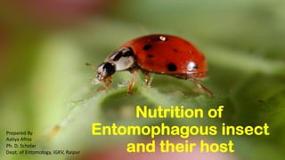 Nutrition of
Entomophagous insect
and their host
Prepared By
Aaliya Afroz
Ph. D. Scholar
Dept. of Entomology, IGKV, Raipur
 