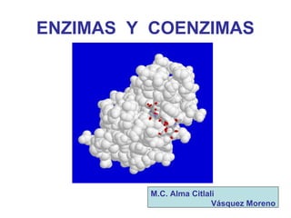 ENZIMAS Y COENZIMAS
M.C. Alma Citlali
Vásquez Moreno
 