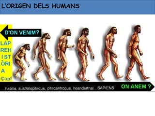 L’ORIGEN DELS HUMANS
 