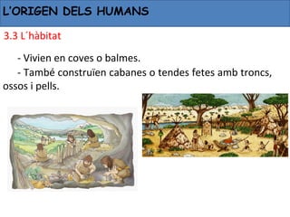L’ORIGEN DELS HUMANS

3.3 L´hàbitat
   - Vivien en coves o balmes.
   - També construïen cabanes o tendes fetes amb troncs, 
ossos i pells.
 