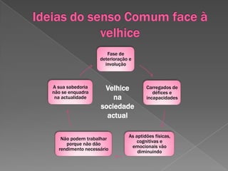  A forma como a velhice é encarada em cada cultura e condições económicas de cada país;