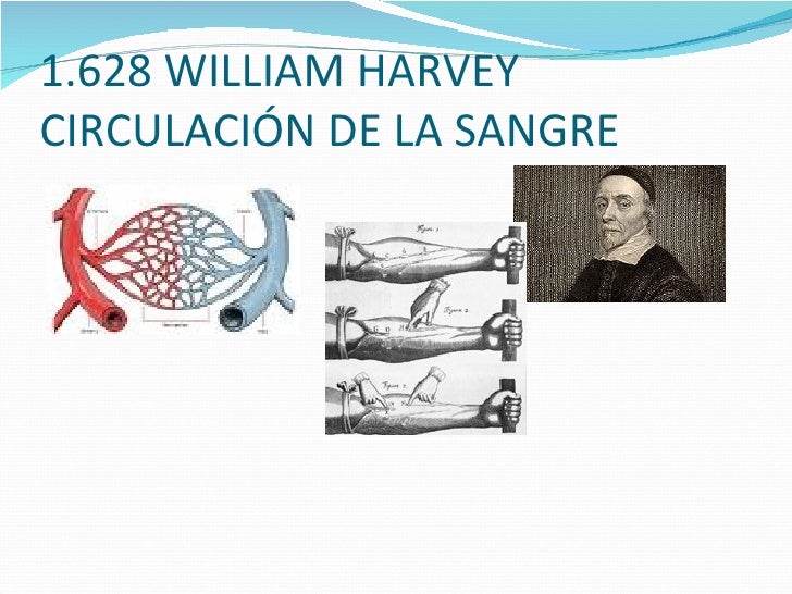 U.d.2. alimentacion y nutricion