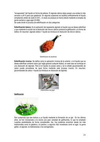 "encapsulado" del líquido en forma de esferas. El alginato cálcico debe poseer una acidez lo más
cercana a pH 6 para que gelatinice. En algunas ocasiones se acidifica artificialmente el líquido
(empleando citrato de sodio E-331) . A veces se produce el mismo efecto mediante el empleo de
goma xantana o agar-agar (E-406).
Se suele dividir el proceso de esferificación en dos categorías:

Esferificación básica: Es la aplicación del espesante alginato al líquido que se desea esferificar
y que mediante la acción de la disolución del cloruro cálcico produce la gelificación y la forma de
esfera. En resumen: alginato sódico + líquido se introduce en disolución de cloruro cálcico.




                                   Esferificación de zanahoria

Esferificación inversa: Se define como la aplicación inversa de la anterior, si el líquido que se
desea esferificar contiene calcio (por regla general cualquier lácteo), en este caso se sumerge en
una disolución de alginato. Pero si el líquido no posee calcio y se le añade gluconolactato de
calcio puede procederse de igual forma mediante este proceso inverso. En resumen:
gluconolactato de calcio + líquido se introduce en disolución de alginato.




                                    Esferificación de yogur

Gelificación




Son sustancias que dan textura a un líquido mediante la formación de un gel. En los últimos
años, se han incorporado a la cocina una gran variedad de gelificantes, lo que ha ampliado
nuestras posibilidades de forma considerable. Asi, hoy podemos encontrar desde los más
tradicionales como la gelatina y la pectina, a algunos más novedosos como el agar, la goma
gellan, el alginato, la metilcelulosa o los carragenatos.


                                                                                               21
 