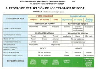 MODULO PROFESIONAL: MANTENIMIENTO Y MEJORA DE JARDINES.  U.D.4 4.1. CONCEPTO HERRAMIENTAS Y TIPOS DE PODA  8. ÉPOCAS DE REALIZACIÓN DE LOS TRABAJOS DE PODA 