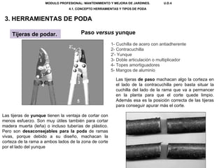 MODULO PROFESIONAL: MANTENIMIENTO Y MEJORA DE JARDINES.  U.D.4 4.1. CONCEPTO HERRAMIENTAS Y TIPOS DE PODA  3. HERRAMIENTAS...
