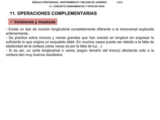 MODULO PROFESIONAL: MANTENIMIENTO Y MEJORA DE JARDINES.  U.D.4 4.1. CONCEPTO HERRAMIENTAS Y TIPOS DE PODA  11. OPERACIONES...