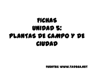 FICHAS UNIDAD 5: PLANTAS DE CAMPO Y DE CIUDAD Fuentes: www.tadega.net 