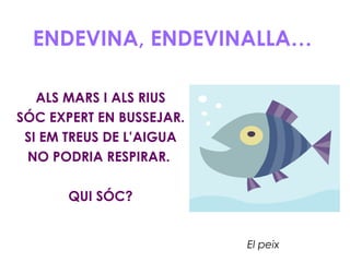 ENDEVINA, ENDEVINALLA…

   ALS MARS I ALS RIUS
SÓC EXPERT EN BUSSEJAR.
 SI EM TREUS DE L’AIGUA
 NO PODRIA RESPIRAR.

       QUI SÓC?


                          El peix
 