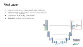 Final Layer
● Now we have to assign a class label to each pixel value
● 1 x1 conv layer (n filters) where n is the number of classes
● Final Output: (B, n, H, W), n = # classes
● Softmax to produce segmentation map
 