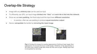 Overlap-tile Strategy
● Image with any arbitrary size can be used as input
● To efficiently use GPU, an input image divided into “tiles” and each tile is fed into the network
● Since we use zero padding, the final output and the input have different resolution
○ In practice, often we use padding to produce equal-resolution output
● Hence, extrapolate the border by mirroring the input image
 