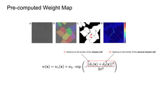 Pre-computed Weight Map
d1 distance to the border of the closest cell d2: distance to the border of the second closest cell
 