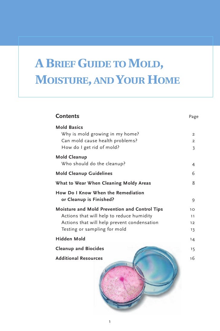 Get A Brief Guide To Mold Moisture And Your Home