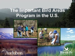 The Important Bird Areas Program in the U.S. 