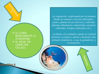 · La vegetación: conformada por las plantas.
Puede ser natural o silvestre (forestales,
pastos, plantas de uso diverso) y cultivada
(plantas alimenticias, industriales, pasturas
cultivadas, bosques cultivados, etc.).
· La fauna o los animales: puede ser natural
(terrestre, acuática y aérea) y doméstica (los
animales domésticos, o sea, la ganadería), y
la pesquería.
 EL CLIMA:
BÁSICAMENTE LA
ATMÓSFERA.
 EL AGUA: DE
CARÁCTER
CÍCLICO.
 