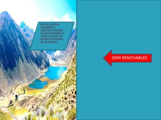 SEMI RENOVABLES
Son de tipo bio-
inorgánico y
superficie limitada.
Es esencialmente el
suelo, el medio de
producción natural
de las plantas.
 